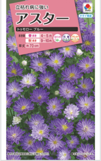 μڥȥ ֥롼̸ۡ ̵