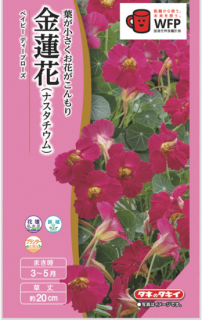 ʥࡿ󥫤μڥ٥ӡ ǥץ̸ۡ ̵