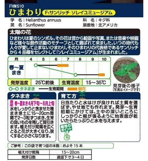 ✺ひまわりページ✺ 8月のひまわり（カラフル）ひまわり・花柄- 布・生地の通販