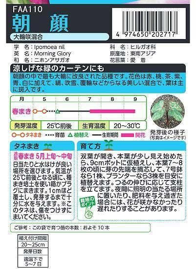 アサガオの種【大輪咲混合】〔固定種〕 - 種の専門店 松尾農園