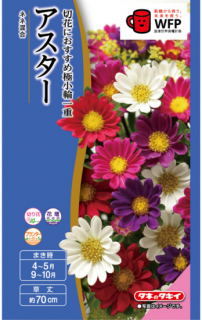 μڥͥͺ̸ۡ ̵