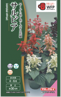 <img class='new_mark_img1' src='https://img.shop-pro.jp/img/new/icons65.gif' style='border:none;display:inline;margin:0px;padding:0px;width:auto;' />ӥμڥե ߥå̸ۡ ̵