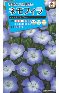 ͥեμڥ󥷥˥֥롼̸ۡ ̵