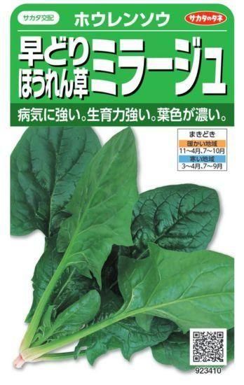 ほうれんそうページ ホウレンソウの種【ミラージュ】〔F1〕 - 種の専門店 松尾農園