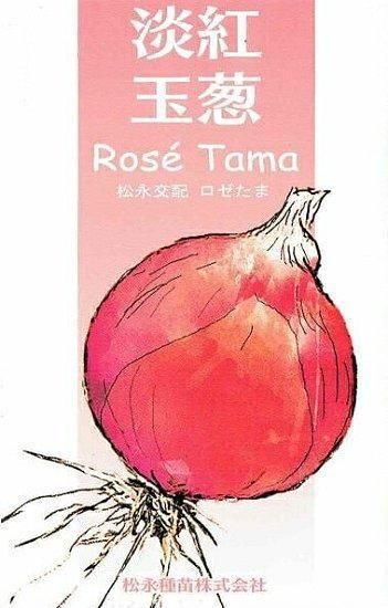 玉ねぎ苗300本(フレッシュレッド) フレッシュレッド（赤玉葱）