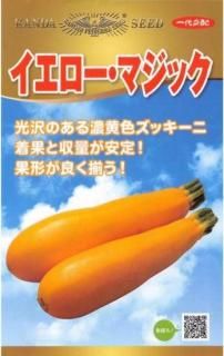ズッキーニの種【イエロー・マジック】〔F1〕