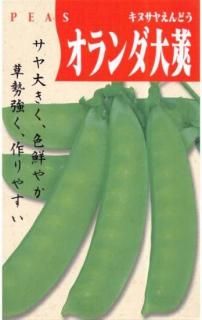 䥨ɥμڥ財̸ۡ ̵ 