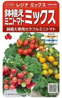 バリトマトの種(自然栽培・固定種) バリトマトの種(自然栽培・固定種) Amazon.co.jp: バリトマトの種 自然