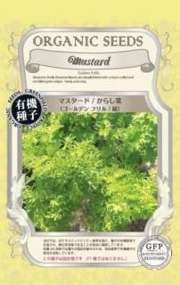 饷ʤμڥǥեСˡ̸ۡͭҡ ̵