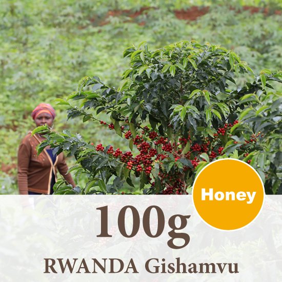 ルワンダ　ギシャンブ地区／ウォッシュド／焙煎豆 100g