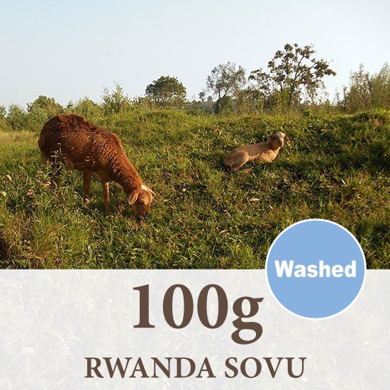 ルワンダ　ソブエリア／ウォッシュド／焙煎豆 100g