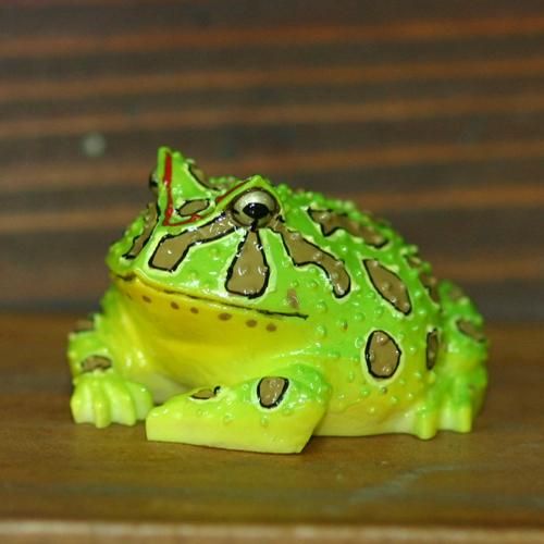 かえる 楽天市場】在庫限り カエル 置物 トノサマガエル Copeau コポー