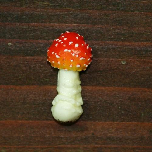 ベニテングタケ 幼菌 カエル工房 ベニテングタケ 幼菌 カエル工房