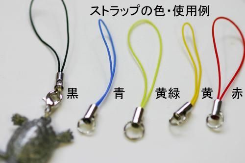 楽天市場】オタマジャクシ 生体（その他｜おもちゃ）の通販