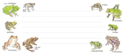 日本の蛙10選・徒然一筆箋 - カエル工房