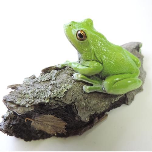 モリアオガエルの散策 カエル工房