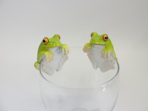 モリアオガエル　ヒメアマガエル　日本のカエル　2点セット 日本のカエル THE FROGS IN JAPAN – ネイチャーテクニカラー公式