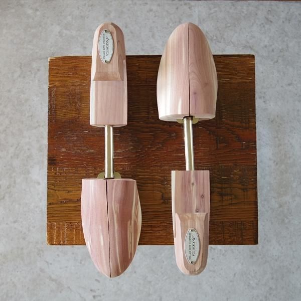 未使用】ANATOMICA シューツリー サイズM シューキーパー