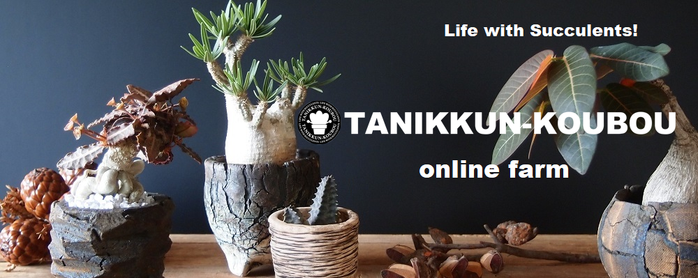 たにっくん工房 online farm