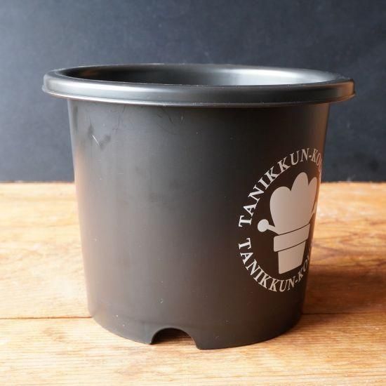 口コミ サイト 商品 菊鉢4号サイズ通販・販売｜たにっくん工房 online farm 工芸品