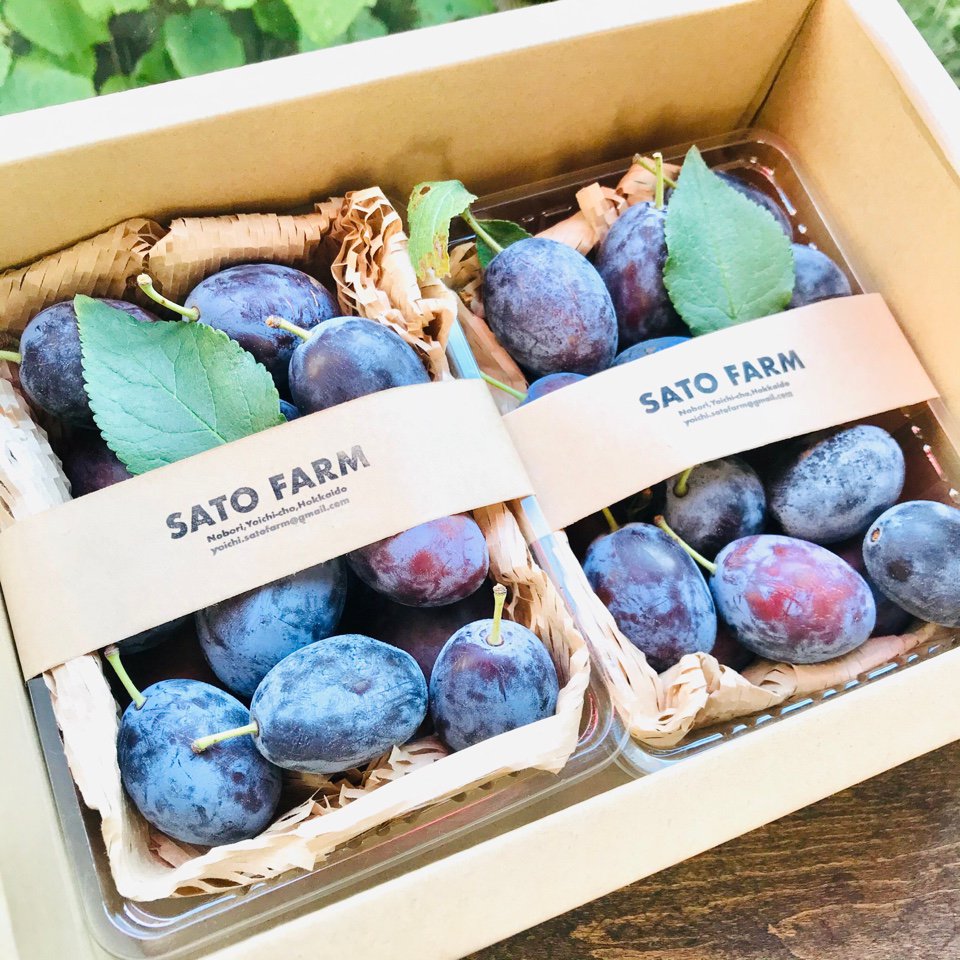 SATO FARM fruits