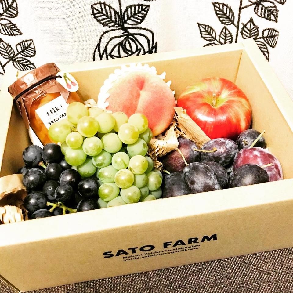SATO FARM fruits