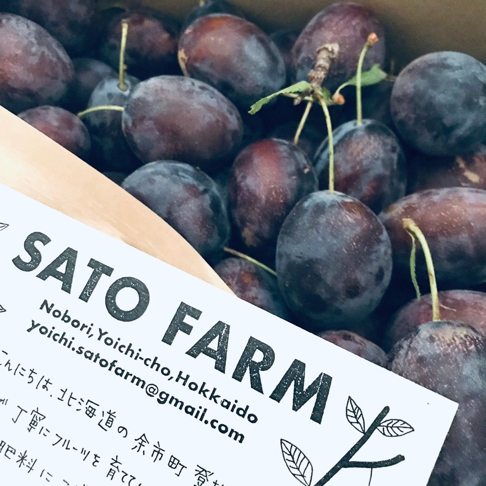 SATO FARM fruits
