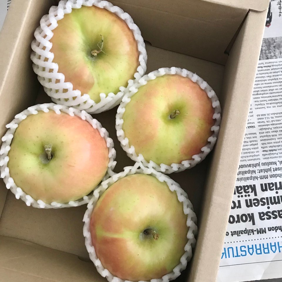 SATO FARM fruits ��