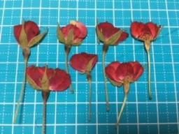 押し花 バラ横向き 花材 ドライフラワー アロマストーン マダムクレア