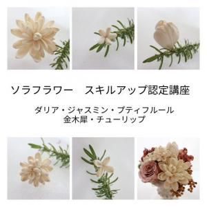 <img class='new_mark_img1' src='https://img.shop-pro.jp/img/new/icons46.gif' style='border:none;display:inline;margin:0px;padding:0px;width:auto;' />륢åǧֺ¡ꥢ㥹ߥ󡡡ڥǥץޥֺ̿¡