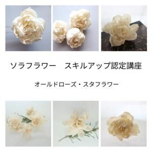 <img class='new_mark_img1' src='https://img.shop-pro.jp/img/new/icons46.gif' style='border:none;display:inline;margin:0px;padding:0px;width:auto;' />륢åǧֺ¡ɥեڥǥץޥֺ̿¡