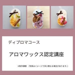 <img class='new_mark_img1' src='https://img.shop-pro.jp/img/new/icons46.gif' style='border:none;display:inline;margin:0px;padding:0px;width:auto;' />ޥܥ˥åǧֺ¡ڥǥץޥֺ̿¡ 
