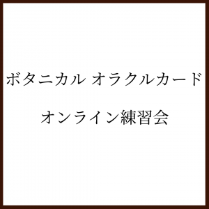 ܥ˥ 饯륫ɡ饤2025ǯ12222030