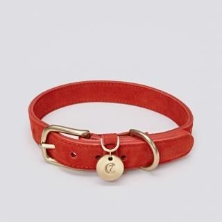 DOG COLLAR TIERGARTEN NUBUCK CHERRY REDCLOUD7ʥɥå顼ƥƥ󡦥̥Хå꡼åɡ饦ɣ