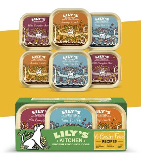 Grain Free Recipes 6 x 150g Multipack / LILY'S KITCHEN