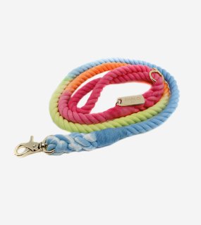 <img class='new_mark_img1' src='https://img.shop-pro.jp/img/new/icons5.gif' style='border:none;display:inline;margin:0px;padding:0px;width:auto;' />ROPE LEASH - Summer Swirls / PABLO & CO.