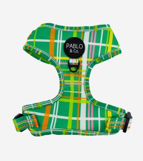 Groovy Grid Harness / PABLO & CO.