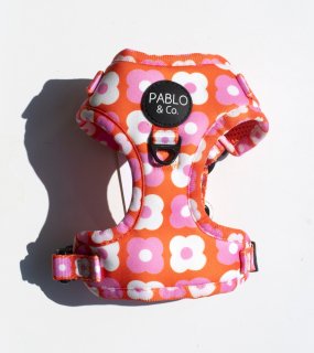 Pink Checkered Daisies Harness / PABLO & CO.