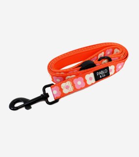 Pink Checkered Daisies Leash / PABLO & CO.