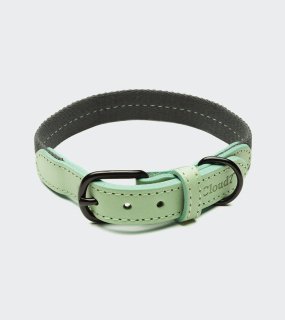 <img class='new_mark_img1' src='https://img.shop-pro.jp/img/new/icons20.gif' style='border:none;display:inline;margin:0px;padding:0px;width:auto;' />Dog Collar Madeira Mint  / CLOUD7