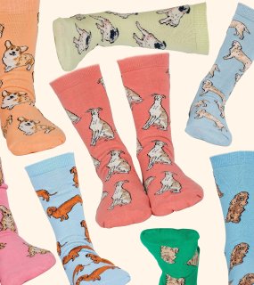 <img class='new_mark_img1' src='https://img.shop-pro.jp/img/new/icons5.gif' style='border:none;display:inline;margin:0px;padding:0px;width:auto;' />ڤ󤻸DOG BREED SOCKS / PABLO & CO. 