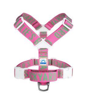 <img class='new_mark_img1' src='https://img.shop-pro.jp/img/new/icons5.gif' style='border:none;display:inline;margin:0px;padding:0px;width:auto;' />TRIP HARNESS - PINK / CHARLIE'S BACKYARD