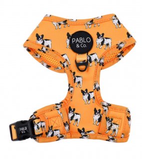 French Bulldog Harness / PABLO & CO.