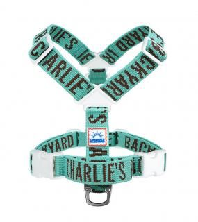 <img class='new_mark_img1' src='https://img.shop-pro.jp/img/new/icons5.gif' style='border:none;display:inline;margin:0px;padding:0px;width:auto;' />TRIP HARNESS - MINT / CHARLIE'S BACKYARD