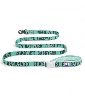 <img class='new_mark_img1' src='https://img.shop-pro.jp/img/new/icons5.gif' style='border:none;display:inline;margin:0px;padding:0px;width:auto;' />TRIP LEASH - MINT / CHARLIE'S BACKYARD