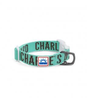 <img class='new_mark_img1' src='https://img.shop-pro.jp/img/new/icons5.gif' style='border:none;display:inline;margin:0px;padding:0px;width:auto;' />TRIP COLLAR - MINT / CHARLIE'S BACKYARD