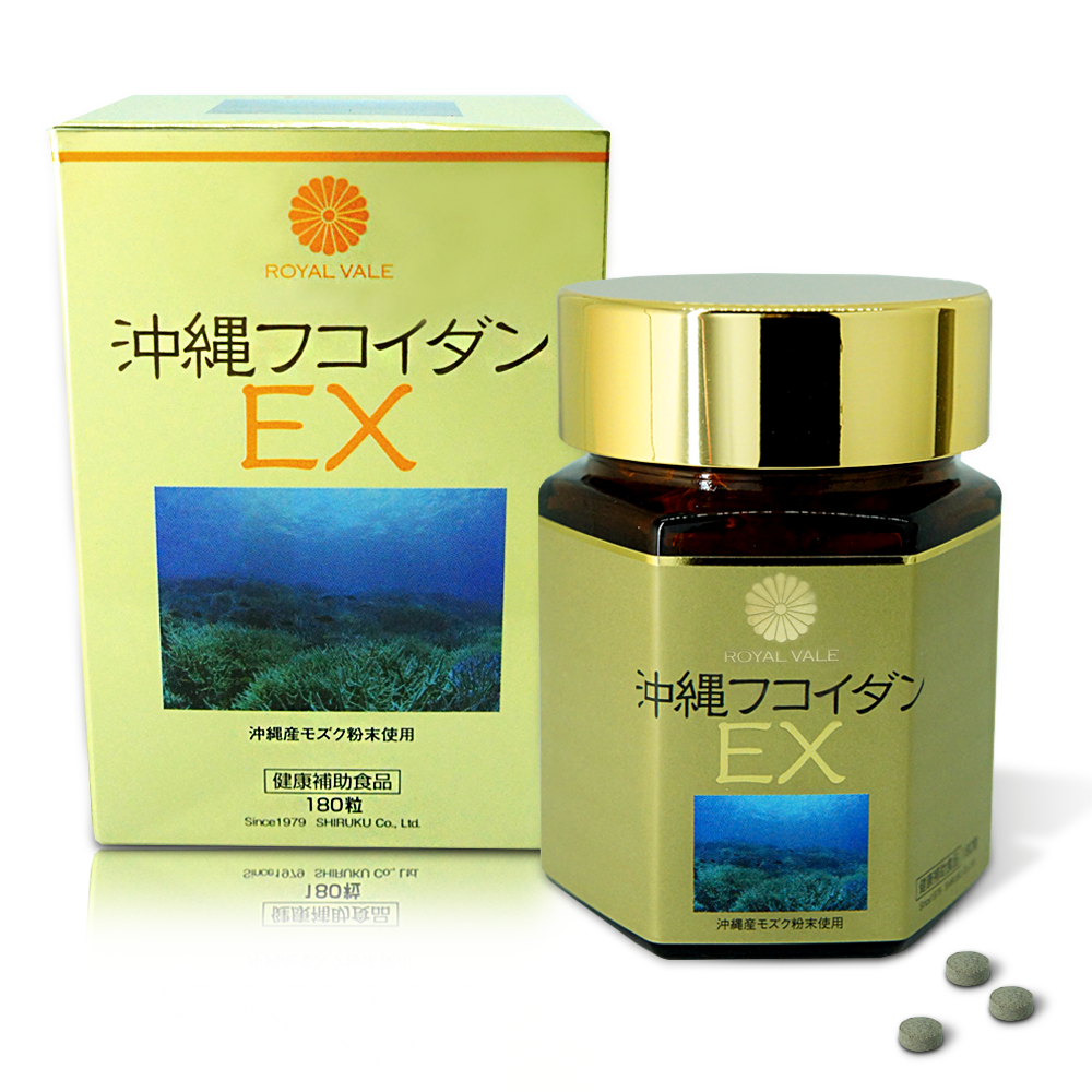 JL-SHOP SHIRUKU