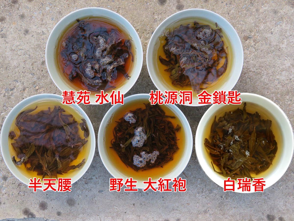 武夷岩茶 武夷岩茶]金牡丹 6袋（合計約50g）｜青茶(ウーロン茶)｜中国茶の