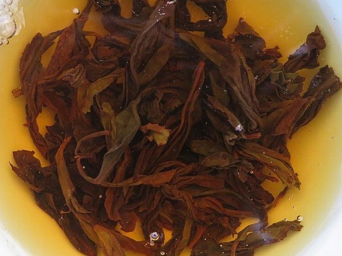 高級中国茶 武夷岩茶「金牛」3セット 武夷岩茶 茶の穂
