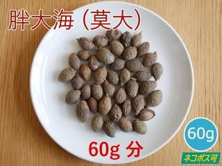 糤 ()(糤) 60g